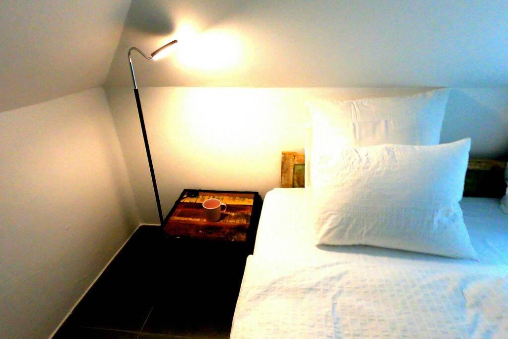 The Mountain Loft Klinovec - With Infrasauna ヤーヒモフ エクステリア 写真