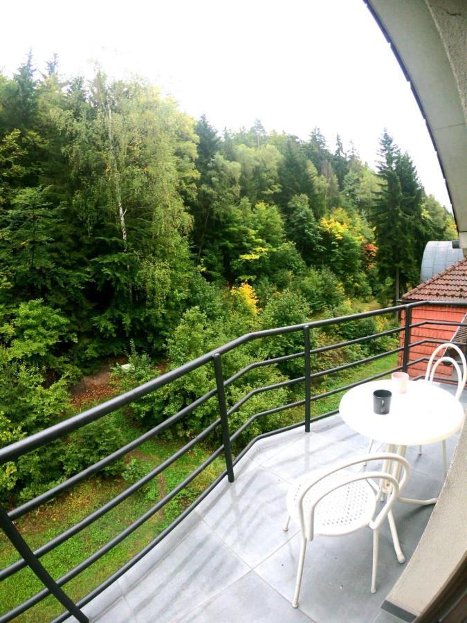 The Mountain Loft Klinovec - With Infrasauna ヤーヒモフ エクステリア 写真